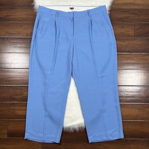 J. Crew Light Blue Women's Pants